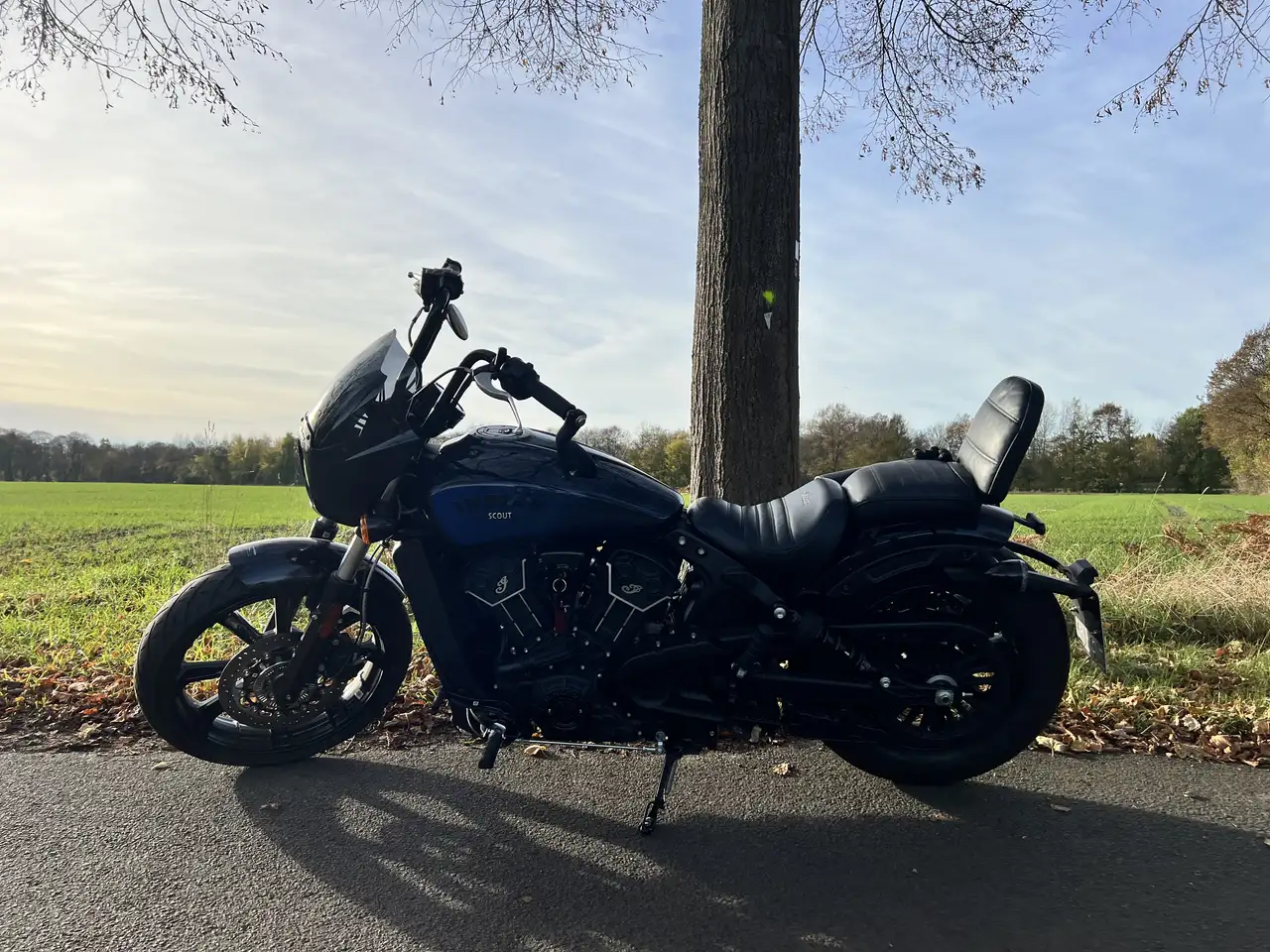 Indian Scout