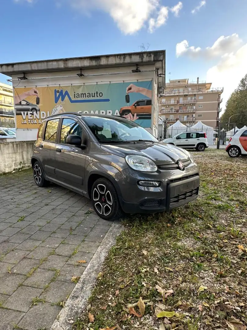 Fiat New Panda 1.0 HYBRID GSE CITYLIFE 70cv Grau - 2