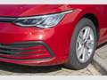 Volkswagen Golf VIII Variant Life 2.0 TDI DSG Standhzg*ACC*RFK Rot - thumbnail 6