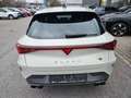 CUPRA Leon Sportstourer VZ 2.0 TSI DSG 4Drive*Akebono* Gris - thumbnail 4
