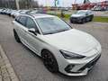 CUPRA Leon Sportstourer VZ 2.0 TSI DSG 4Drive*Akebono* Gris - thumbnail 3