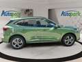 Ford Kuga ST-Line ST-Line Grün - thumbnail 5
