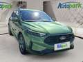 Ford Kuga ST-Line ST-Line Grün - thumbnail 3