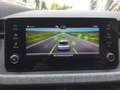 Skoda Kamiq 1.0 TSI DSG Selection LED ACC APP Kamera Grau - thumbnail 9
