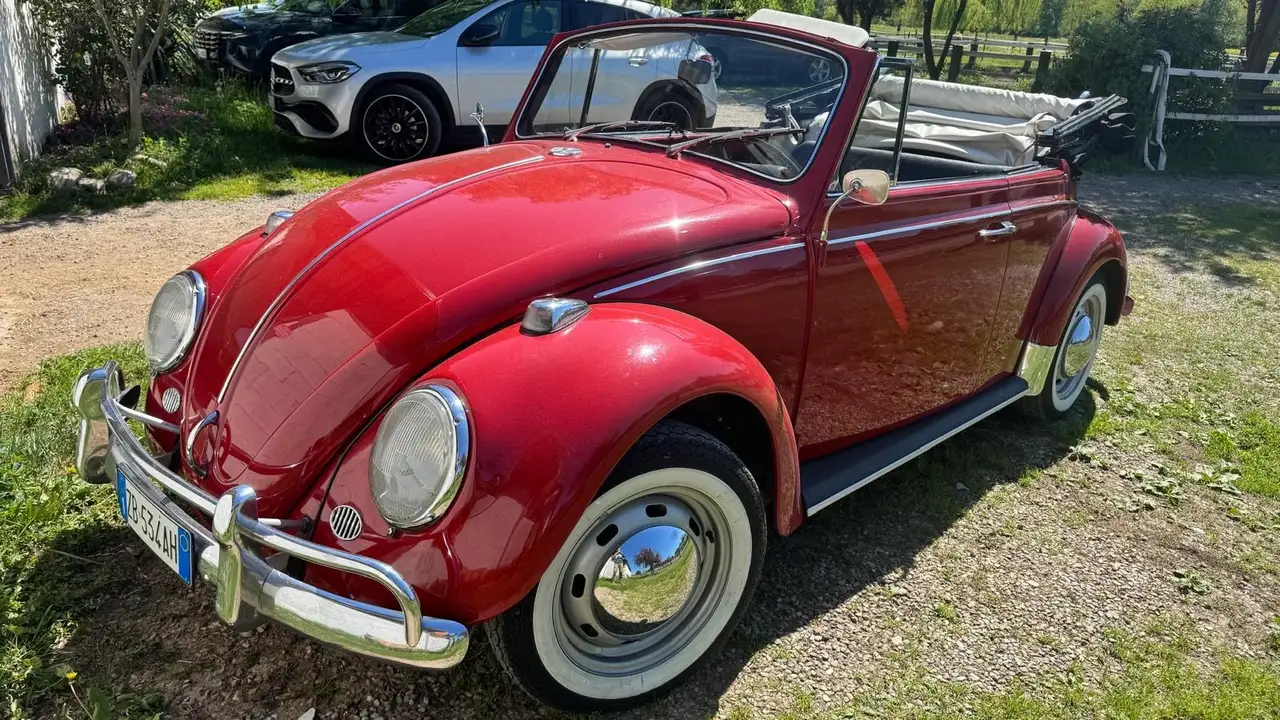 Volkswagen Beetle Maggiolino 1967