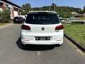 Volkswagen Tiguan Sport & Style 1.Hand R-Line Standhzg Blanc - thumbnail 6