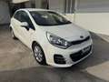Kia Rio Rio   5p 1.2 Cool eco Gpl Weiß - thumbnail 5