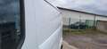 Ford Transit Custom Transit Custom 300 L2H1 LKW VA MH Trend Weiß - thumbnail 19