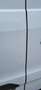 Ford Transit Custom Transit Custom 300 L2H1 LKW VA MH Trend Weiß - thumbnail 17