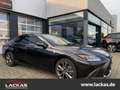 Lexus ES 300 F-Sport* *HUD*LED*SD*Standhzg*Premium Navi Black - thumbnail 1
