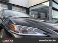 Lexus ES 300 F-Sport* *HUD*LED*SD*Standhzg*Premium Navi Black - thumbnail 8