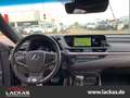 Lexus ES 300 F-Sport* *HUD*LED*SD*Standhzg*Premium Navi Siyah - thumbnail 12