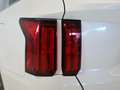 Kia Sorento 1.6 T-GDI HEV EMOTION P. LUXURY DCT 2WD 230 5P 7 P Blanco - thumbnail 12