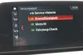 BMW 218 218i Gran Tourer Aut.NAVI/AHK/RFK/LEDER Grau - thumbnail 28
