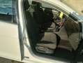 Volkswagen Golf Variant Golf VII 2017 Variant 1.5 tgi Trendline 130cv dsg Bianco - thumbnail 5