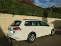 Volkswagen Golf Variant Golf VII 2017 Variant 1.5 tgi Trendline 130cv dsg Bianco - thumbnail 3