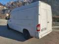 Mercedes-Benz Sprinter 311cdi Bianco - thumbnail 3