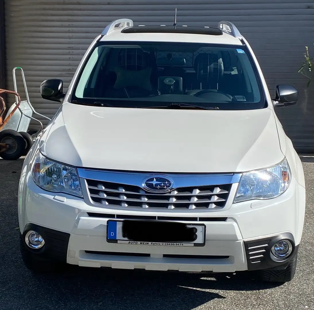 Subaru Forester 2.0X Edition - AHK - Untersetzung Blanc - 1