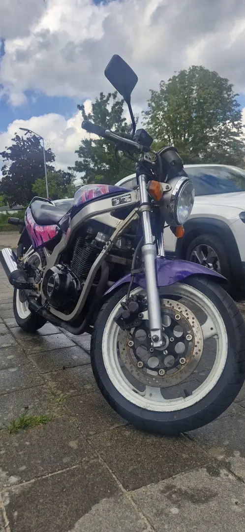 Suzuki GS 500 Mauve - 1