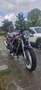 Suzuki GS 500 Mauve - thumbnail 2