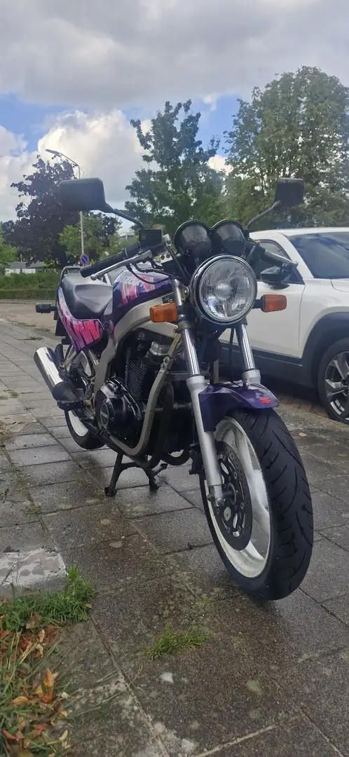 Suzuki GS 500 Mauve - 2