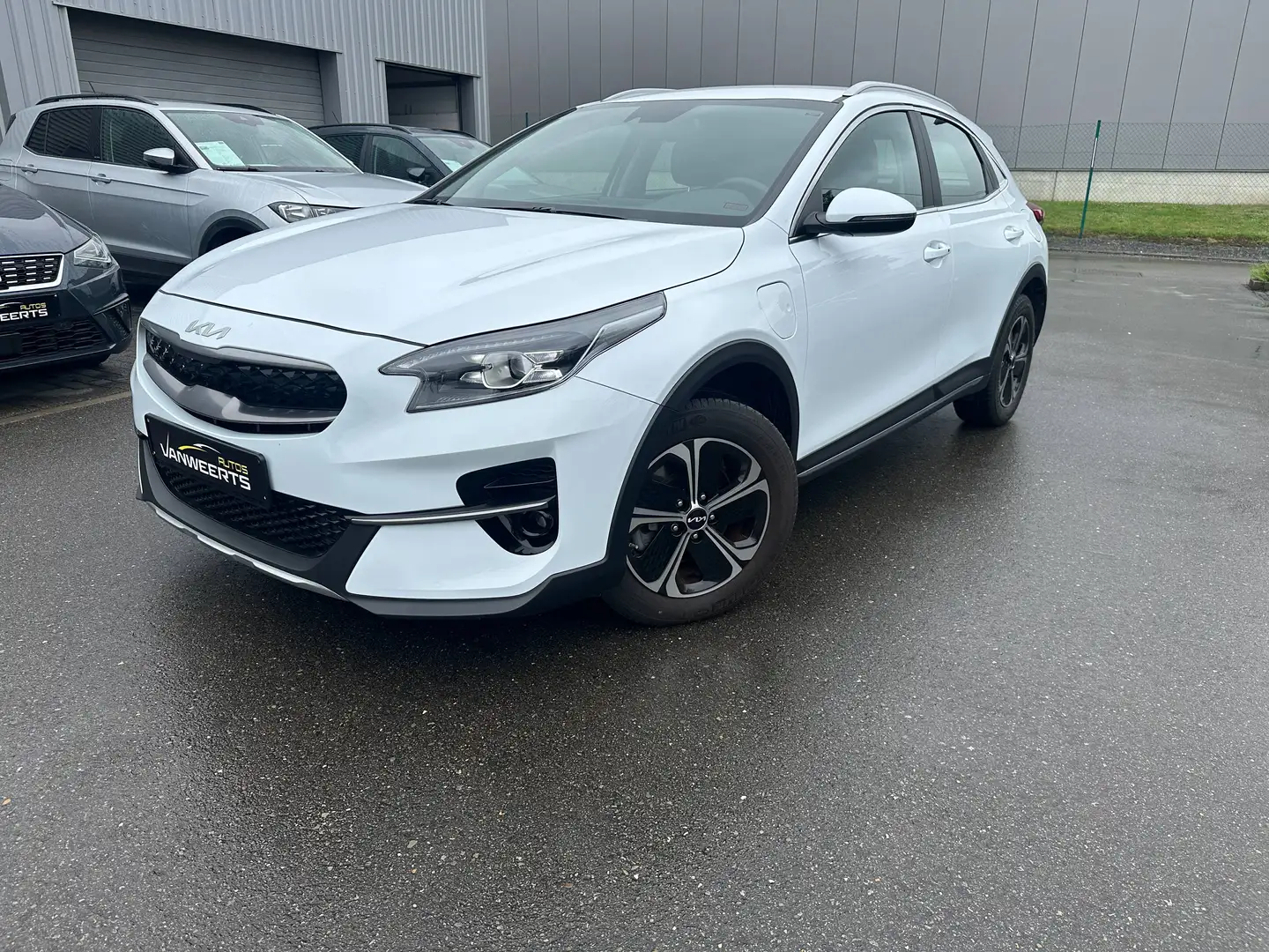 kia xceed