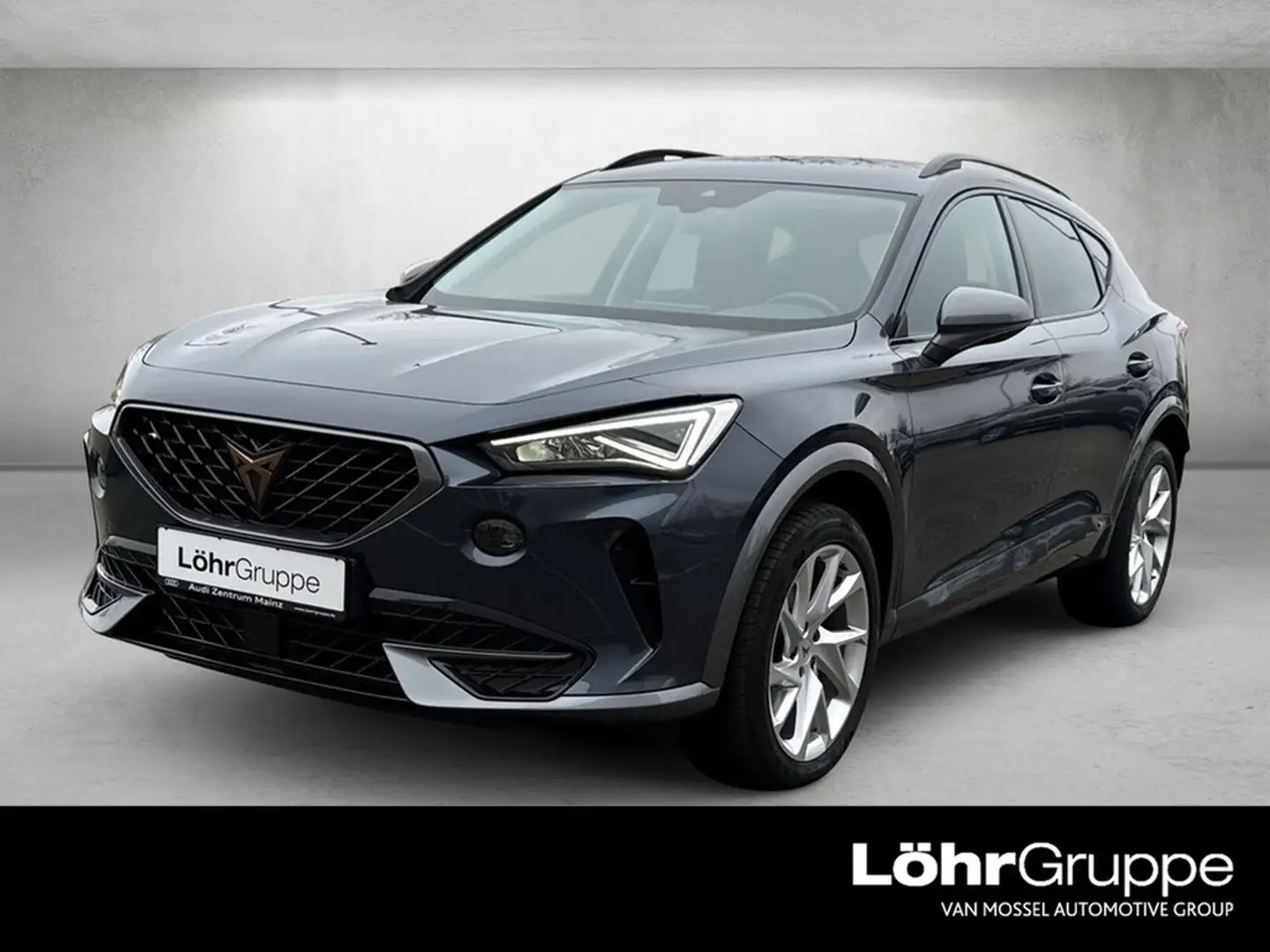 CUPRA Formentor 1.5 TSI *Navi*AHK* Grau - 1