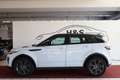 Land Rover Range Rover Evoque SE Landmark PANORAMA+AHK Blanc - thumbnail 4