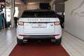 Land Rover Range Rover Evoque SE Landmark PANORAMA+AHK Blanc - thumbnail 7