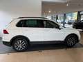 Volkswagen Tiguan VW Tiguan Sky 1,4TSI Weiß - thumbnail 4