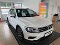 Volkswagen Tiguan VW Tiguan Sky 1,4TSI Weiß - thumbnail 1