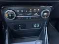 Ford EcoSport 1.0 125PK Titanium | STOEL-, STUUR- EN VOORRUIT VE Blauw - thumbnail 18