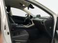 Lexus NX 300 300h Business 2WD - thumbnail 6