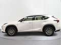 Lexus NX 300 300h Business 2WD - thumbnail 3