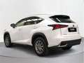 Lexus NX 300 300h Business 2WD - thumbnail 2