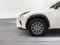 Lexus NX 300 300h Business 2WD - thumbnail 16