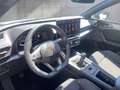 CUPRA Leon 1.5 TSI 150 PS ACT Schwarz - thumbnail 9