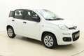 Fiat Panda 1.2 Edizione Cool|AIRCO|HOOGZITTER|NETTE AUTO Wit - thumbnail 7