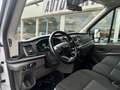 Ford Transit Pritsche 310 L2 Doppelkabine TEMPOMAT Blanc - thumbnail 10
