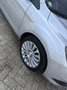 Ford Focus Wagon 1.6 Titanium 2009 apk 06-2026 leuk betaalbaa Grijs - thumbnail 31