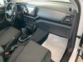 Volkswagen T-Cross 1.0 BENZINA 115cv EDITION PLUS "PRONTA CONSEGNA" Bianco - thumbnail 13