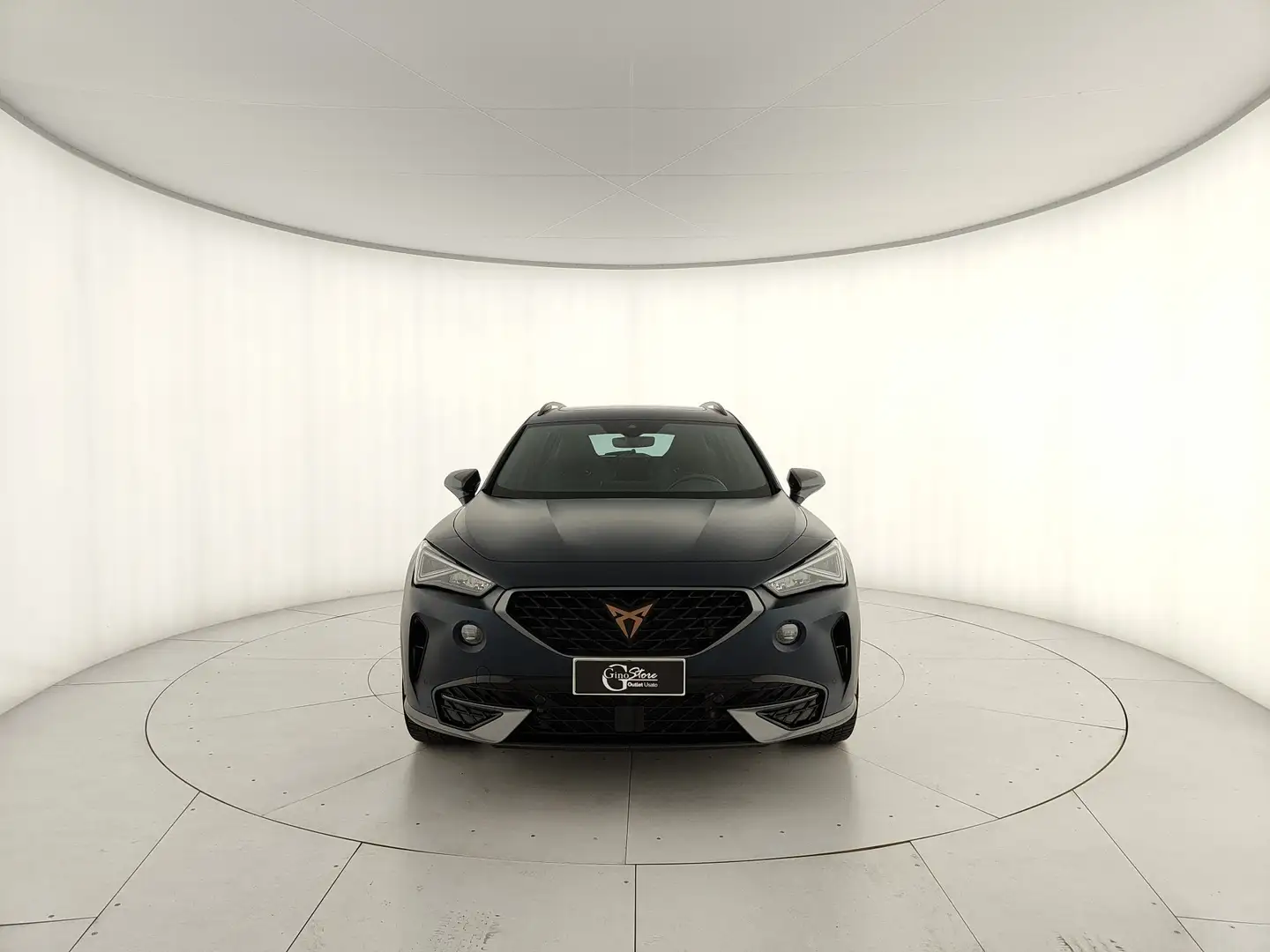 CUPRA Formentor 2.0 tsi Tribe Edition 245cv dsg Blu/Azzurro - 2