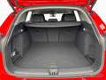 Audi Q6 e-tron SUV e-tron - S line - Matrix - Tech plus - Rojo - thumbnail 14