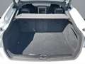 Audi S5 Sportback TDI 251(341) kW(PS) tiptronic*Edition*H Blanc - thumbnail 21