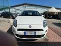 Fiat Punto Punto 5p 1.3 mjt II 16v Young eco s Weiß - thumbnail 12