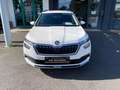 Skoda Kamiq Kamiq 1.0 TSI Ambition Plus SMART/EPH/SH/GRA/DAB Weiß - thumbnail 5