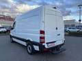 Mercedes-Benz Sprinter Sprinter 316 CDI,Kasten,L2H2,AHK 3,5T,Standhzg. Weiß - thumbnail 3