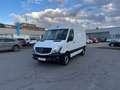 Mercedes-Benz Sprinter Sprinter 316 CDI,Kasten,L2H2,AHK 3,5T,Standhzg. Weiß - thumbnail 19