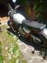 Moto Guzzi Nuovo Falcone C Weiß - thumbnail 6