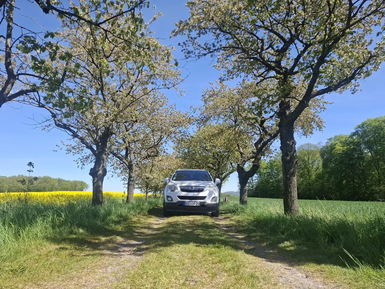 Opel Antara